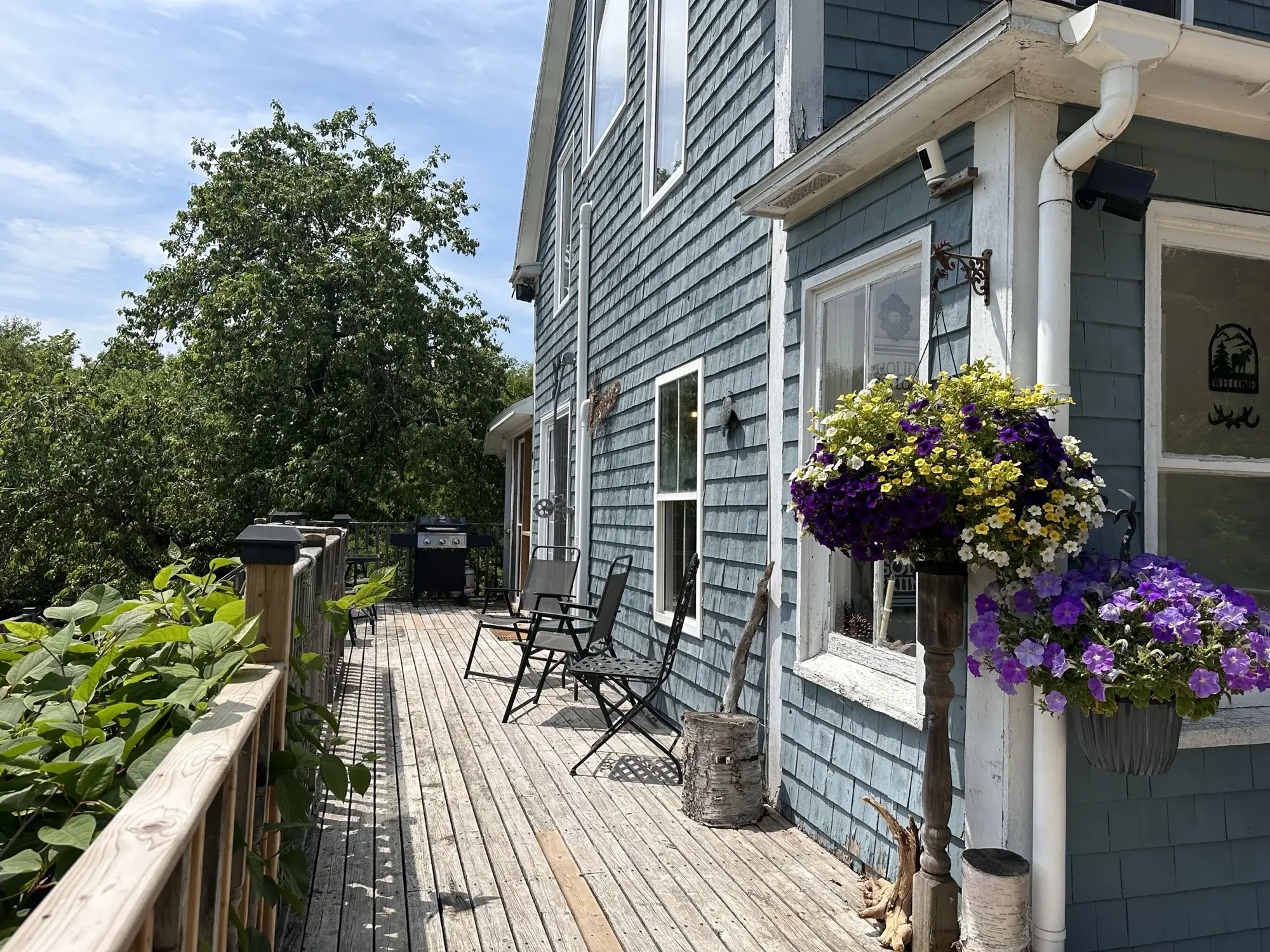 The side deck with purple and yellow hanging flower baskets