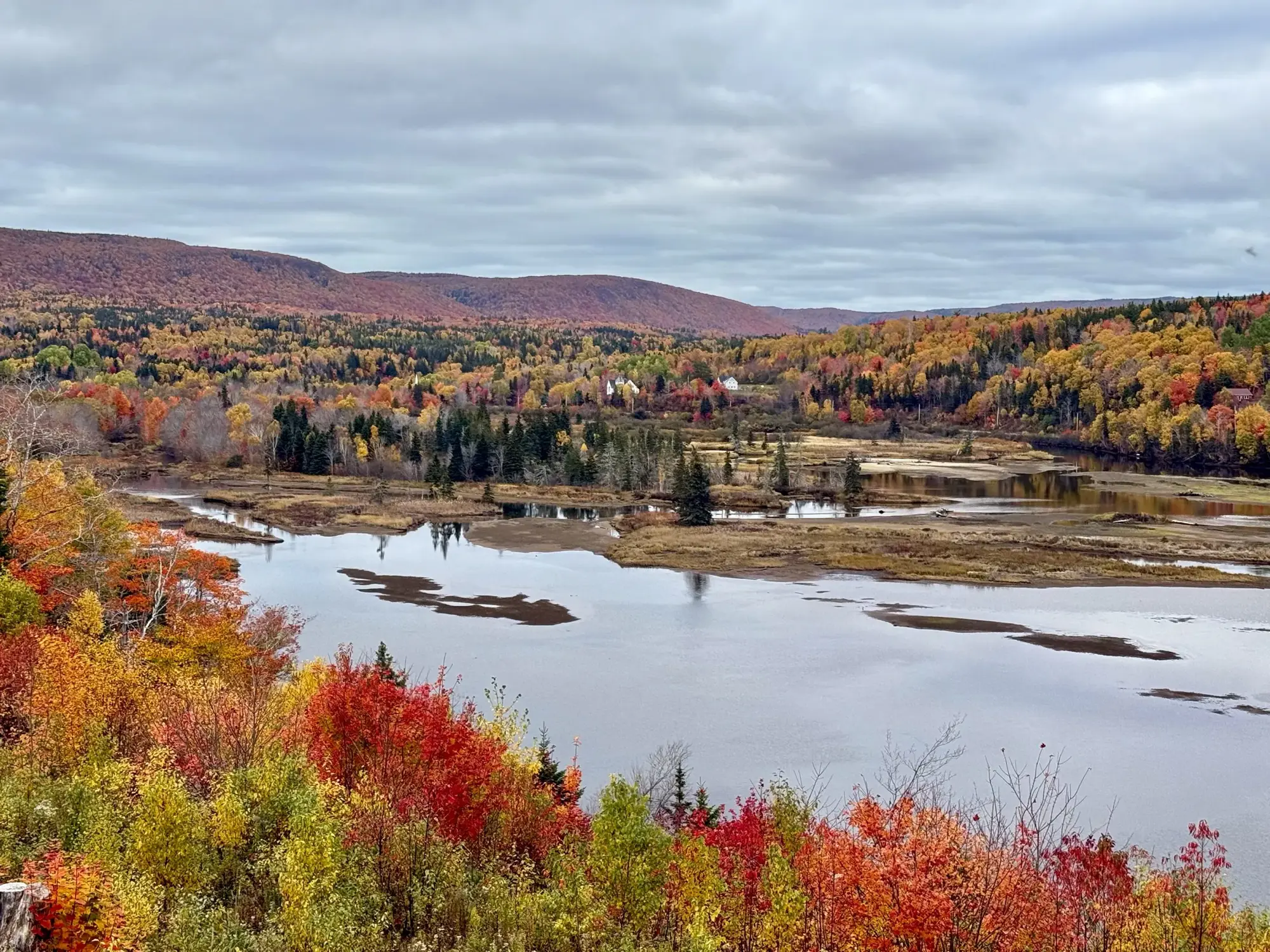 A wide river valley filled with autumn colour under a soft sky