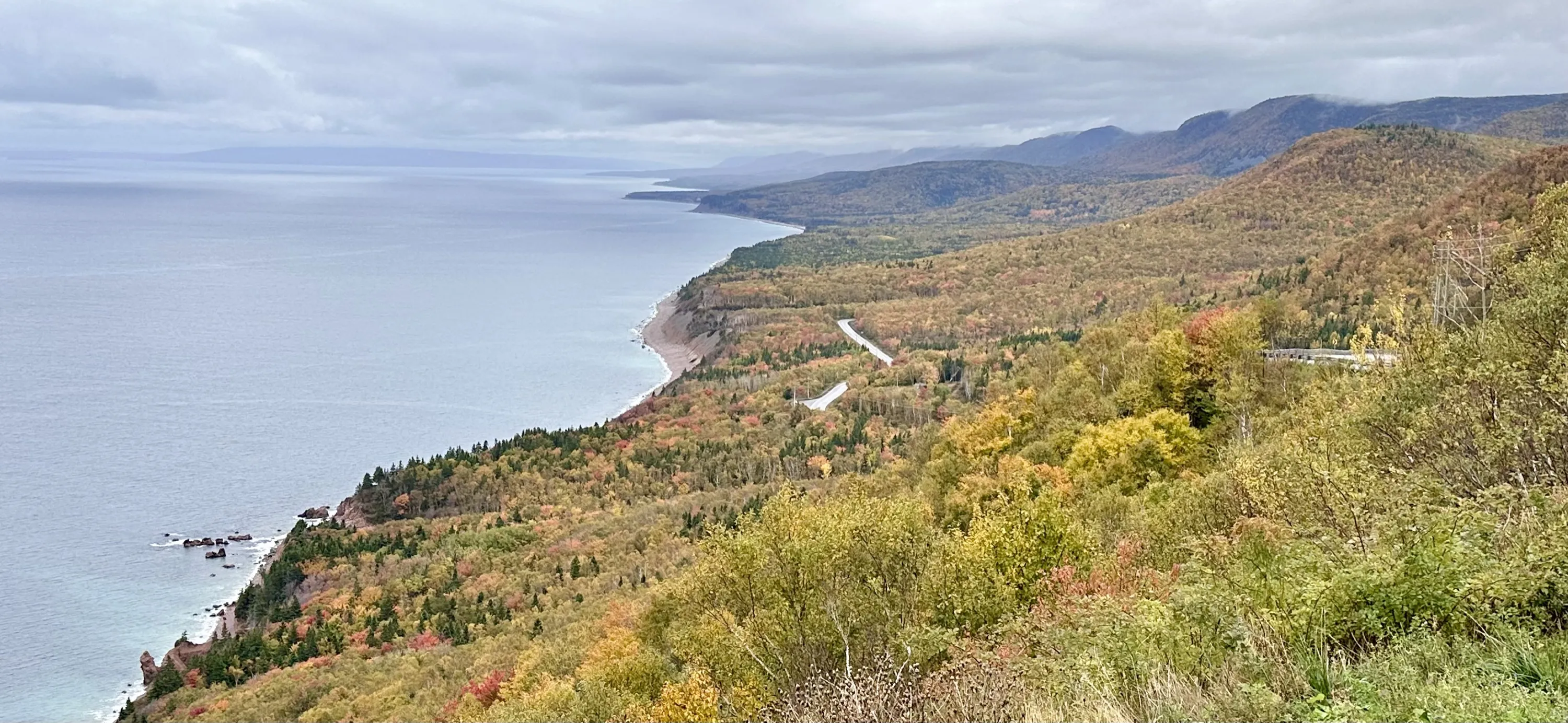 Rugged Cape Breton coastline with wooded cliffs meeting the Atlantic