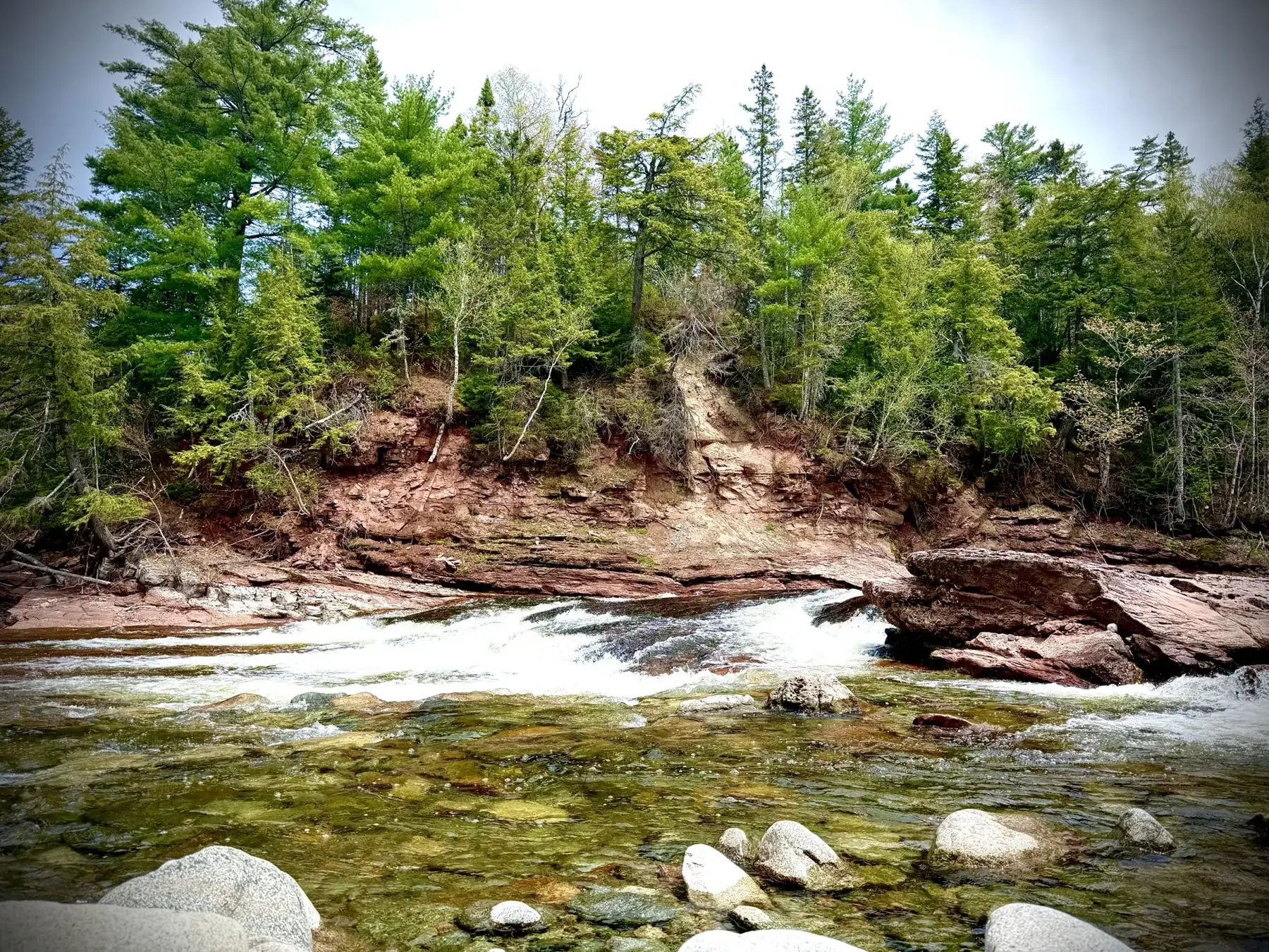 River rapids running below red sandstone cliffs and evergreens